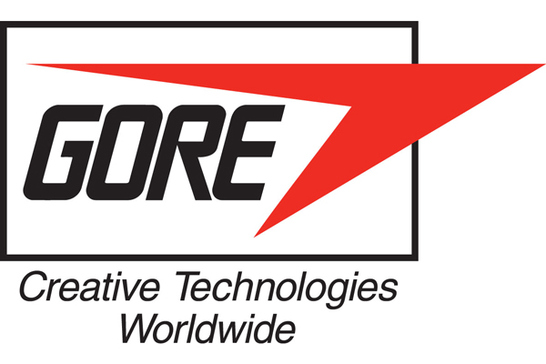 Gore wins Japanese approval for endoprosthesis delivery system