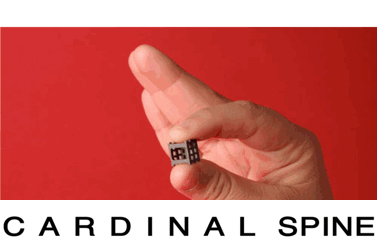 Stealthy Cardinal Spine seeks $1.3M