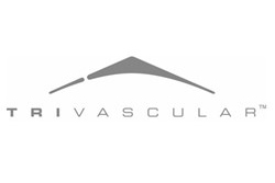 FDA approves TriVascular's CustomSeal for aortic aneurysms