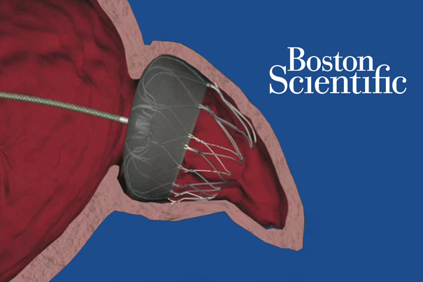 FDA approves Boston Scientific's Watchman anti-stroke device