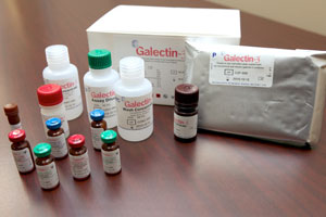 Galectin-3 test
