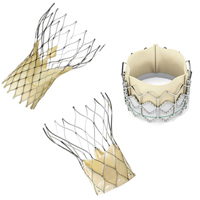 2 implantable replacement aortic valves