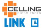 Celling acquires Link Spine